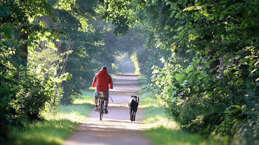 E-Bike-Fahrerin bei Unfall auf der Straße Oberposta schwer verletzt