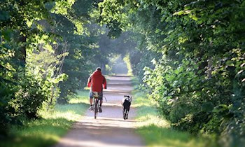 E-Bike-Fahrerin bei Unfall auf der Straße Oberposta schwer verletzt