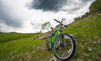 Fahrraddiebstahl in Plauen-Chrieschwitz: Ghost Lector entwendet
