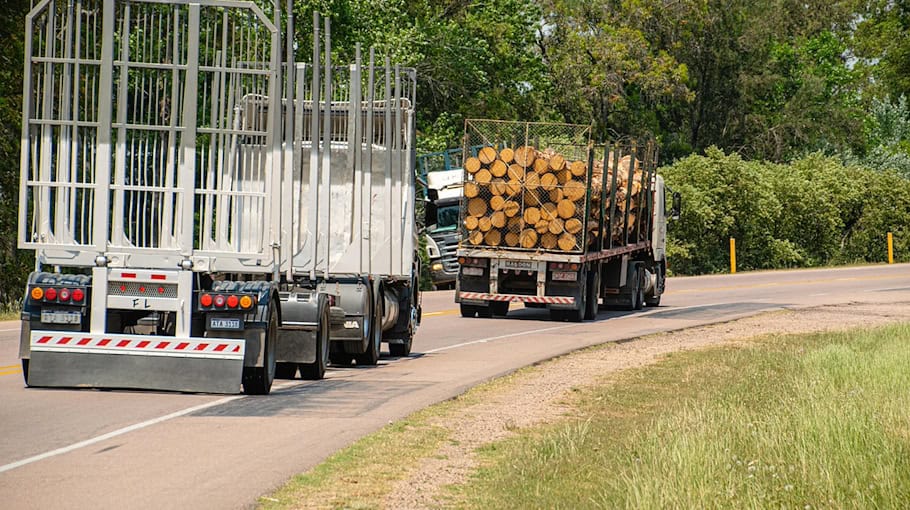 Polnischer Holztransporter überschreitet Gewichtslimit in Kodersdorf