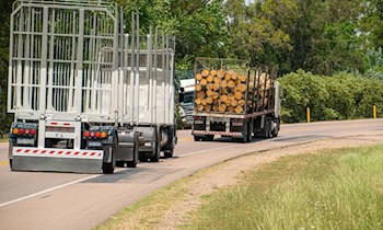 Polnischer Holztransporter überschreitet Gewichtslimit in Kodersdorf