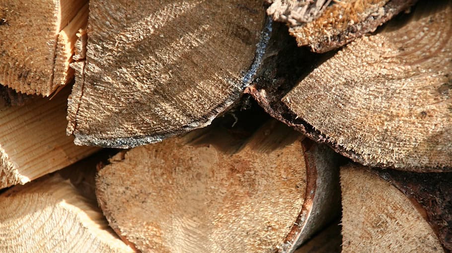 Feuerholzdiebstahl im Grünbacher Forst entdeckt