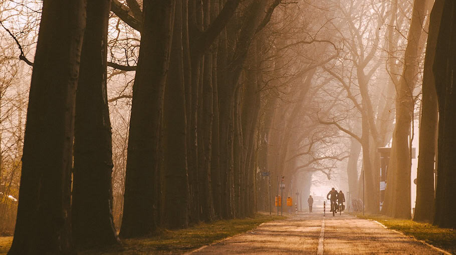Radfahrerin stürzt auf wegen Fallobst unsicherem Radweg