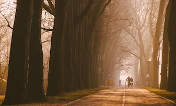 Radfahrerin stürzt auf wegen Fallobst unsicherem Radweg