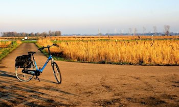 E-Bike Diebstahl am Brückenplatz in Zwickau