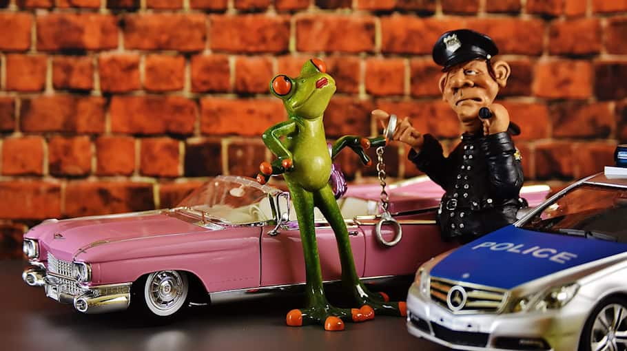 Alkoholisierter Fahrer flieht vor Polizei in Zwickau