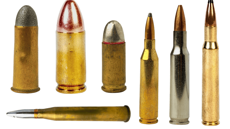 Munition im Paschwitzer Waldgebiet gefunden