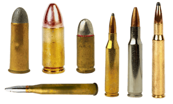 Munition im Paschwitzer Waldgebiet gefunden