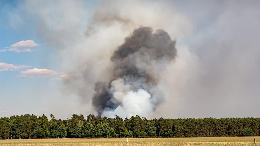 Waldbrand am Polenzer Weg schnell gelöscht