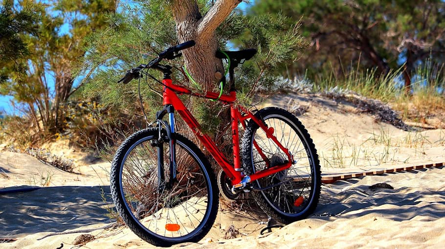 Mountainbike-Diebstahl auf der Straße Zur Landesgartenschau Olbersdorf