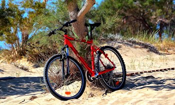 Mountainbike-Diebstahl auf der Straße Zur Landesgartenschau Olbersdorf