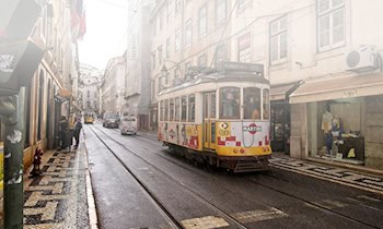 Raubüberfall in Dresdner Straßenbahn nahe Elbschlösser