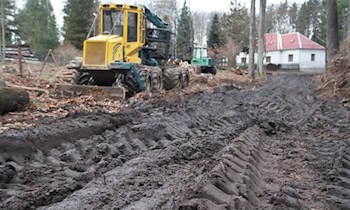 Forstmaschine im Tharandter Wald beschädigt