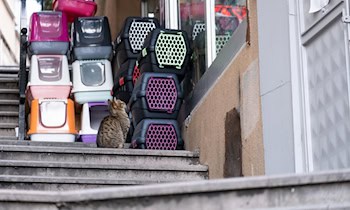 Unfallflucht in Bad Muskau: Verkehrszeichen angefahren
