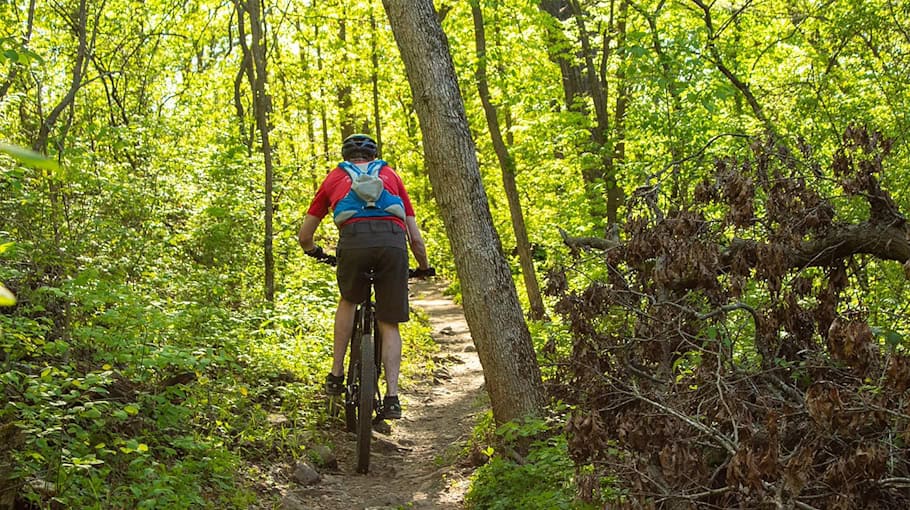 Fahrraddiebstahl aus Keller in Frankenberg