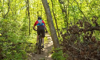 Fahrraddiebstahl aus Keller in Frankenberg