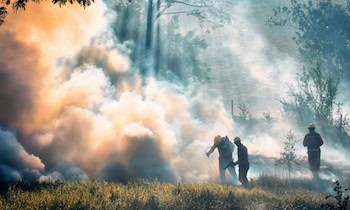 Waldbrand in Neuensalz (Zobes) – Feuerwehreinsatz