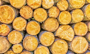 Brennender Holzstapel in Werda