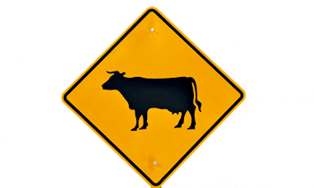 74-Jährige fährt Verkehrszeichen in Meißen um