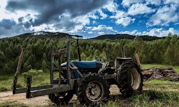 Rasentraktor auf Abwegen in Rosenthal