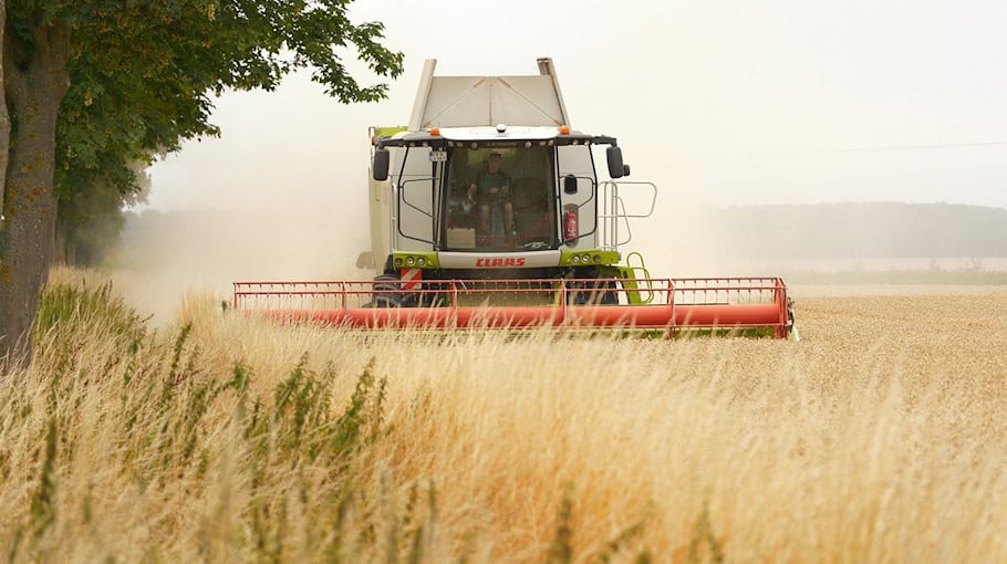 Mähdrescher fängt Feuer auf Feld bei Sollschwitz
