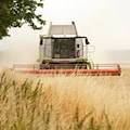 Mähdrescher fängt Feuer auf Feld bei Sollschwitz