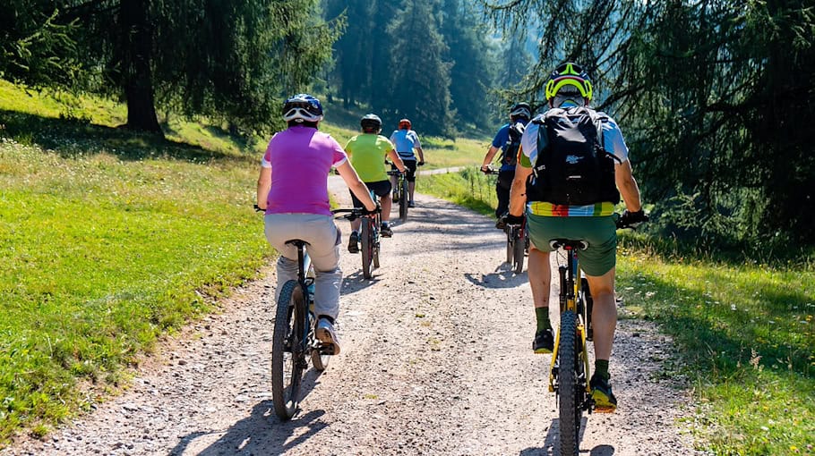 E-Bike-Diebstahl in Bad Schandau