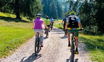 E-Bike-Diebstahl in Bad Schandau