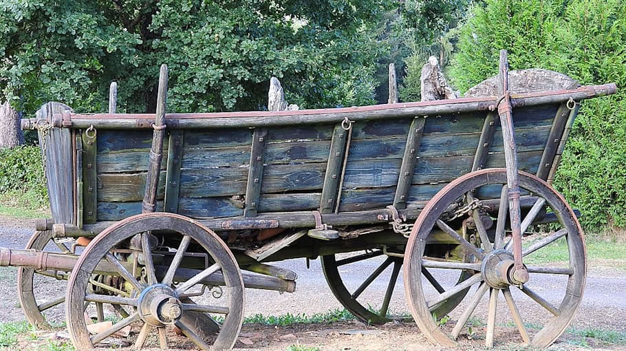 Kutscher flieht und rammt Streifenwagen