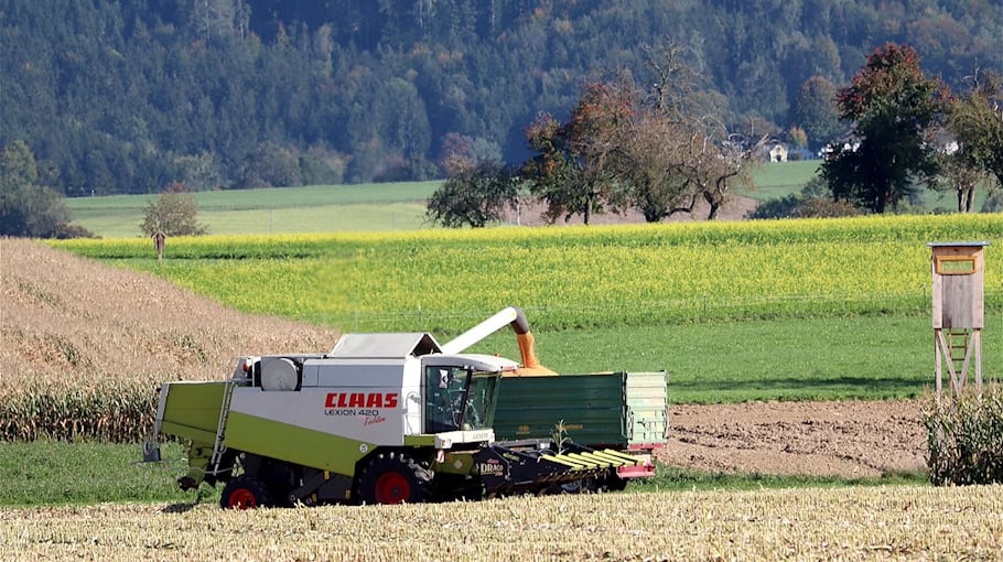 Unbekannte beschädigen Hochstände in Klingenberg