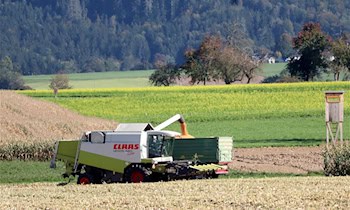 Unbekannte beschädigen Hochstände in Klingenberg