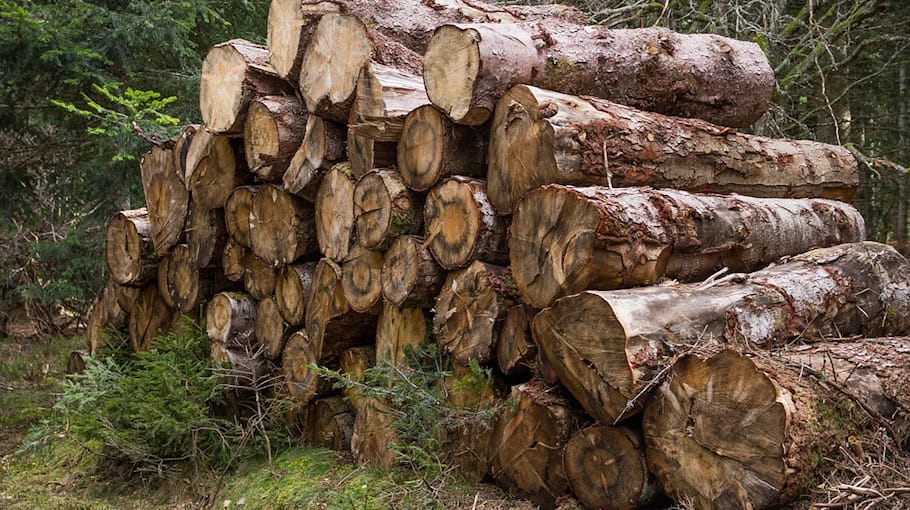 Holzstapel brennt in Riesa-Canitz – Haus und Garage beschädigt