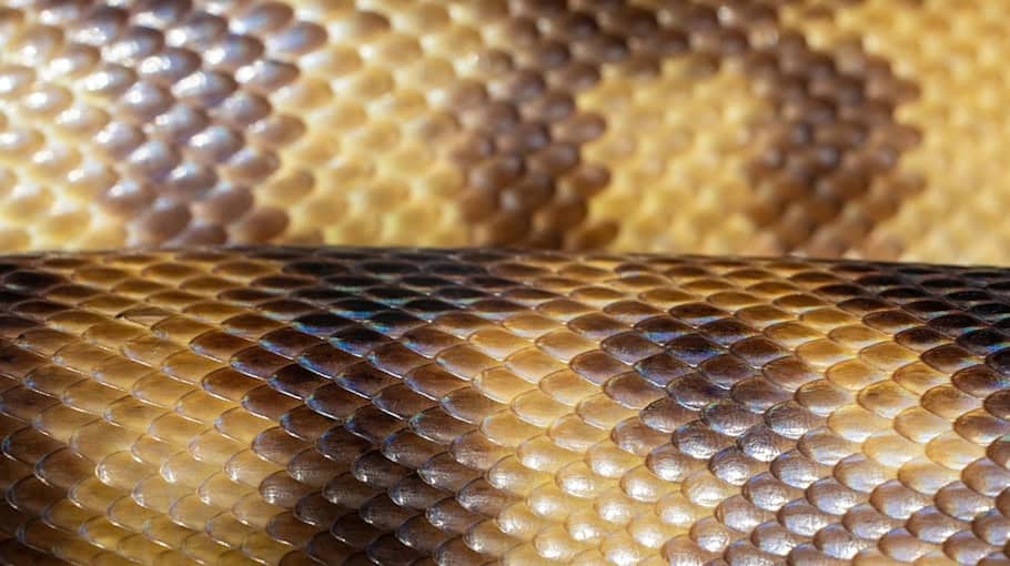 Schuppen in Niesky aufgebrochen