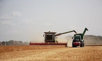 Unfallflucht in Grimma: Zeugen für Traktor-Kollision gesucht
