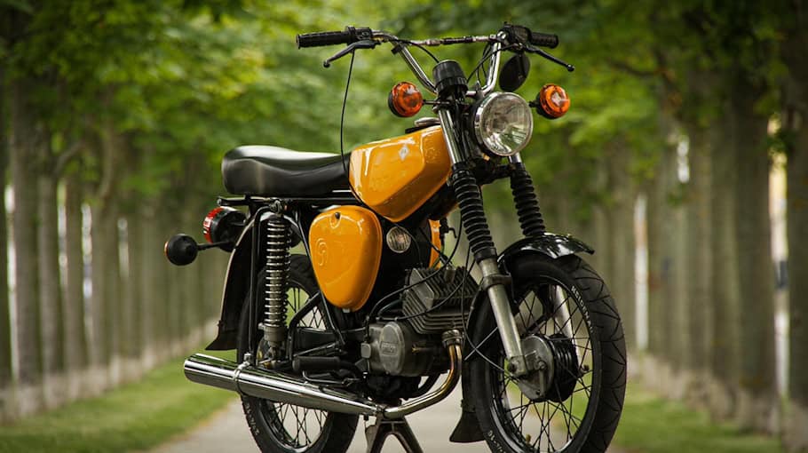 Seitenkasten von Moped in Mylau gestohlen