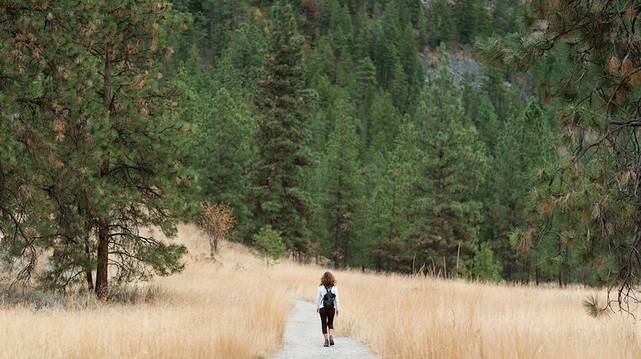 Rucksack aus Seat in Dresden-Mickten gestohlen