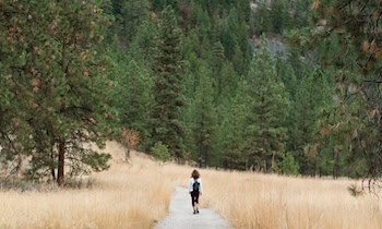 Rucksack aus Seat in Dresden-Mickten gestohlen