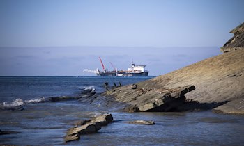 Großer Drogen- und Waffenfund in Leipzig-Möckern