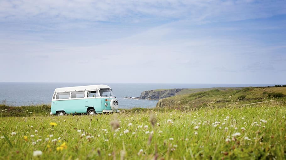 Bus kollidiert mit Baum in Dresden-Leipziger Vorstadt