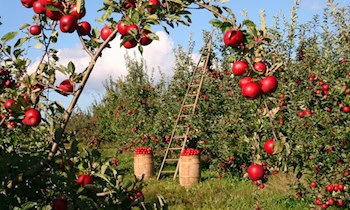 Verlorene Leiter verursacht Unfälle auf der A4