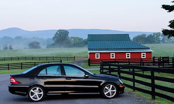 BMW rollt in Tümpel in Jöhstadt