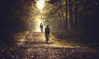 Mountainbike am Bahnhof in Ottendorf-Okrilla gestohlen