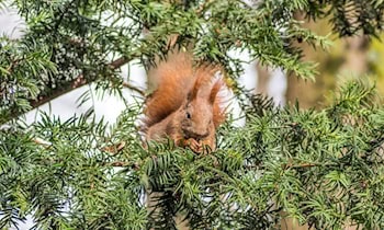 Einbruch in Kindertagesstätte in Zwenkau