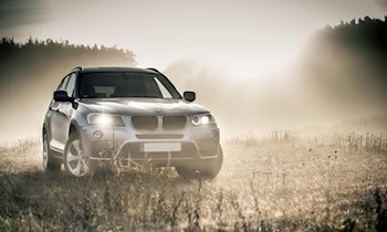 BMW in Görlitz gestohlen