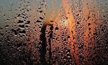 Glasscheibe an Bushaltestelle zerstört