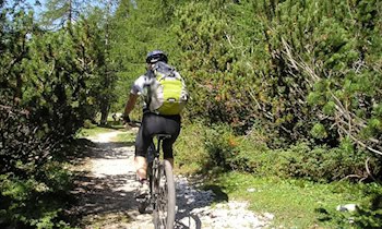Radfahrerin stößt gegen geöffnete Autotür