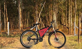 E-Bike aus Kellerabteil in OT Schloßchemnitz gestohlen
