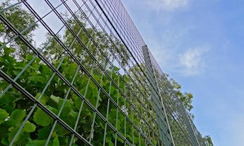 Alarmanlage verhindert Einbruchversuch an Einfamilienhäusern