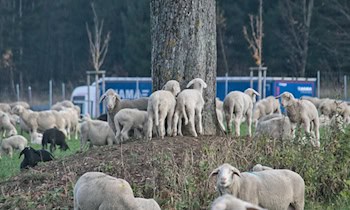 Kleintransporter überschlägt sich auf A4 bei Striegistal