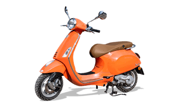 Moped gestohlen in Dresden-Cotta